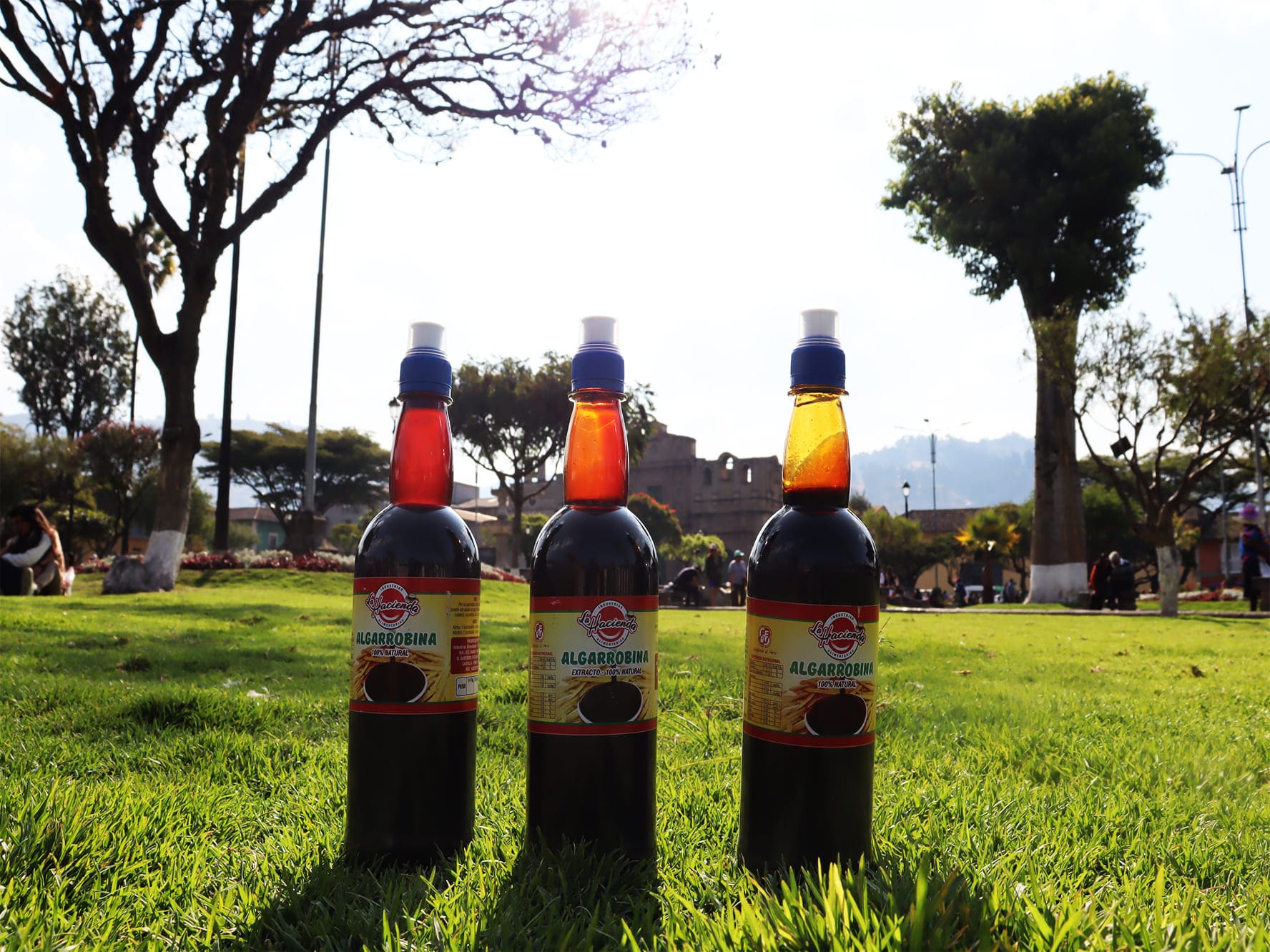 Algarrobina 750 ml