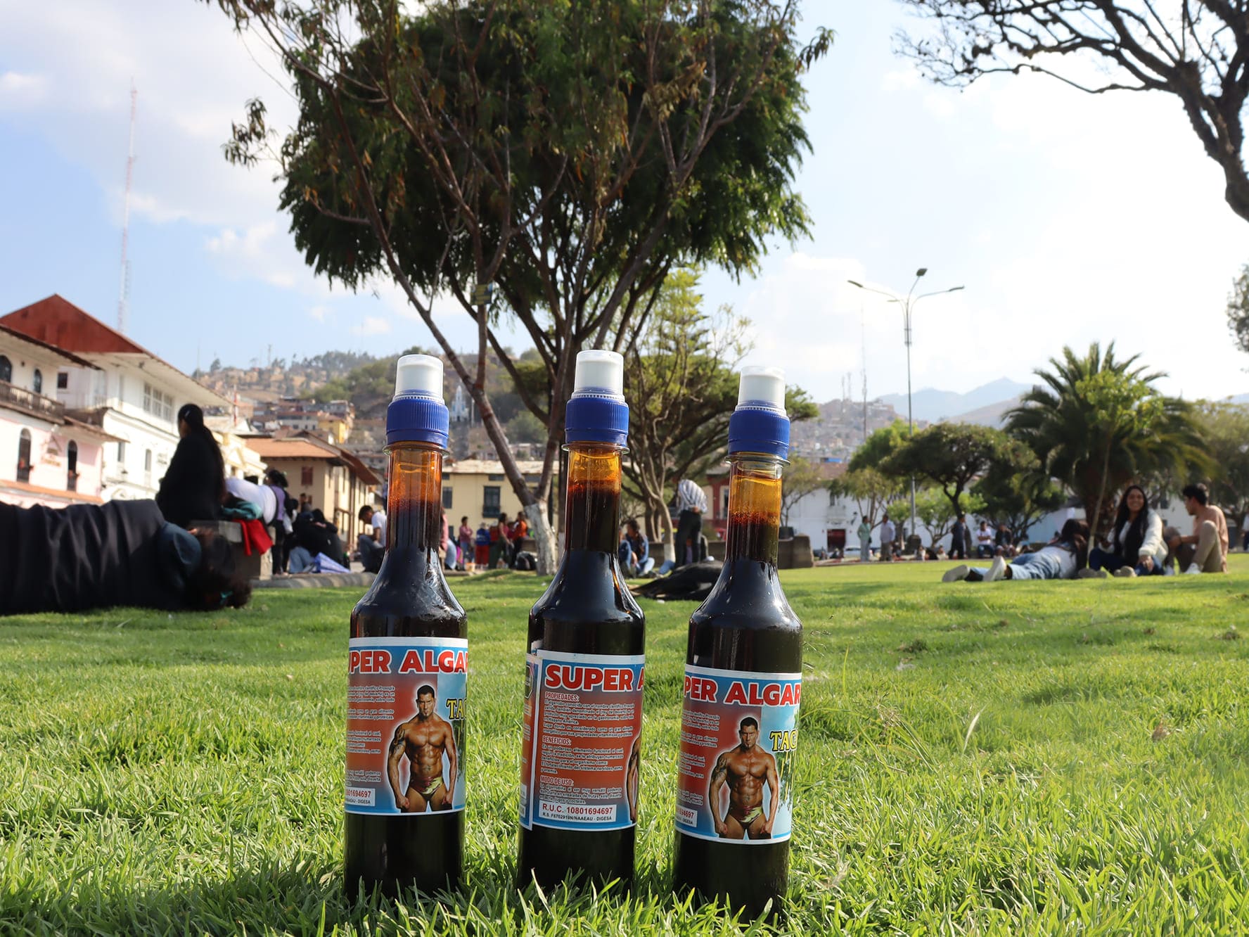 Algarrobina 450 ml