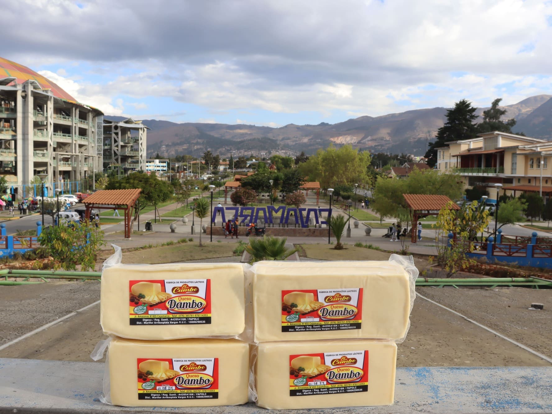 queso dambo kilo